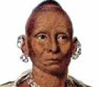 Native Indian Chiefs: Picture Image of Chief Black Hawk