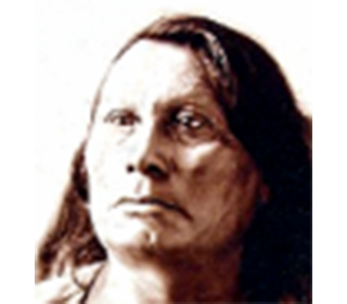 Native Indian Chiefs: Picture Image of Chief Gall