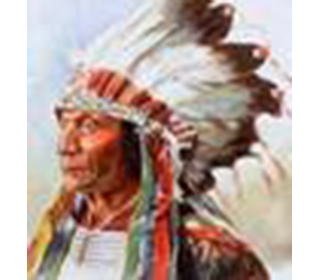 Native Indian Chiefs: Picture Image of Sitting Bull